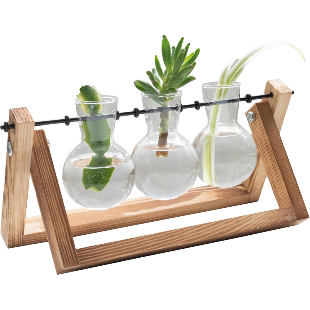 The Source Winning Home & Lifestyle Propagation Vases - Terrarium / Βάση από Ξύλο Πεύκου με 3 x Γυάλινα Βάζα για Υδροπονική Καλλιέργεια (5056327917519)
