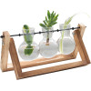 The Source Winning Home & Lifestyle Propagation Vases - Terrarium / Βάση από Ξύλο Πεύκου με 3 x Γυάλινα Βάζα για Υδροπονική Καλλιέργεια (5056327917519)