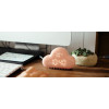 Allocacoc Cloud Alarm Clock - Ψηφιακό Ξυπνητήρι - Pink (DH0171PK/ACLOUD)