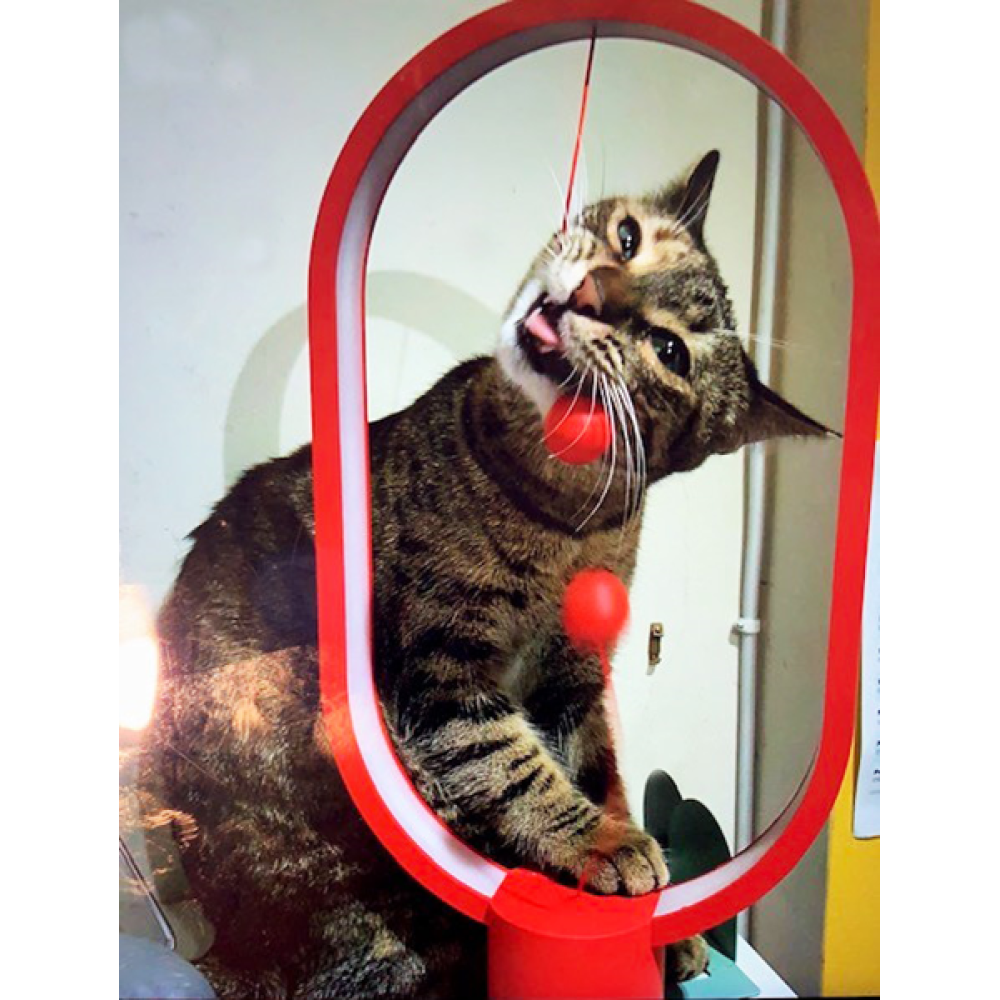 Allocacoc Heng Balance Platsic Lamp Ellipse - Φωτιστικό με Μαγνητικό Διακόπτη - Boston Red (DH0040RD/HBLEUB)