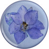 PopSocket Premium - Με Αποξηραμένο Λουλούδι - Pressed Flower Larkspur Purple (801240)