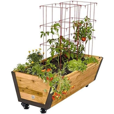 GBL Castor Wheels for Furniture BLK3-50mm - Αθόρυφα Περιστρεφόμενα Ροδάκια Βαρέως Τύπου για Έπιπλα με Φρένα - 200 Kg Φορτίο - Διάμετρος Τροχού 50mm - 4 Τεμάχια - Black (5060452913506)