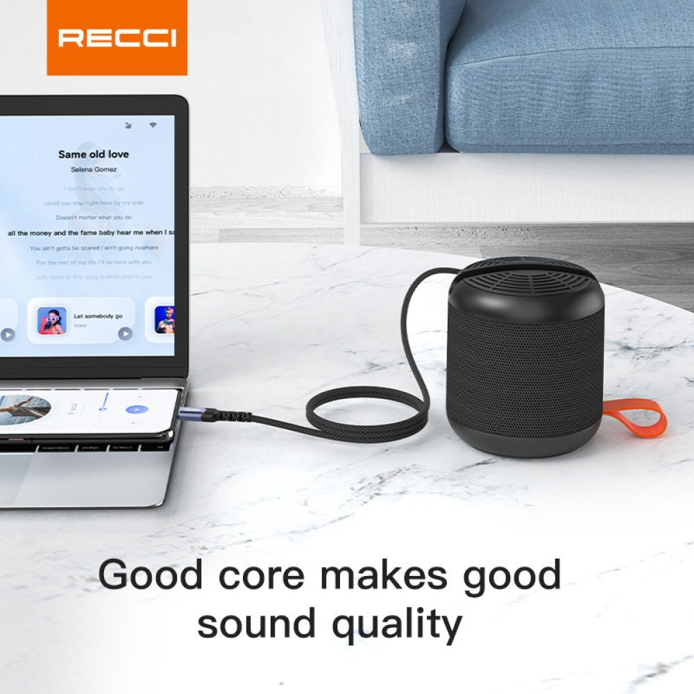 Recci RDS-A26 Audio Cable - Καλώδιο Ήχου Lightning (Male) σε AUX Mini Jack 3.5mm (Male) - 120cm - Black (6955482523339)