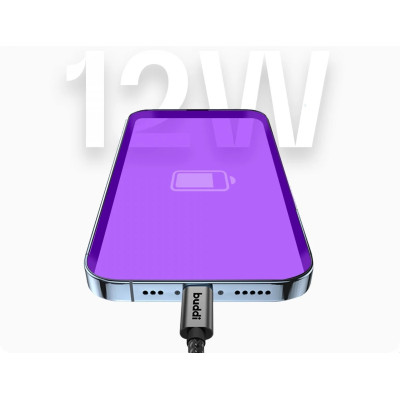 Buddi Flex - Καλώδιο Φόρτισης και Μεταφοράς Δεδομένων USB-A σε Lightning - 200cm - 12W - Black - 5 Έτη Εγγύηση (8719246446122)