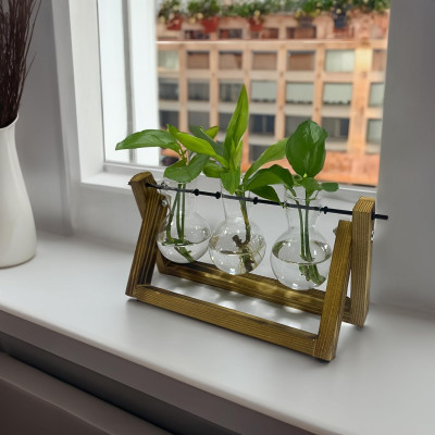 The Source Winning Home & Lifestyle Propagation Vases - Terrarium / Βάση από Ξύλο Πεύκου με 3 x Γυάλινα Βάζα για Υδροπονική Καλλιέργεια (5056327917519)