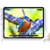 Μεμβράνη Προστασίας iPad Air 10.9" 5 2022 / 4 2020 / iPad Pro 11" 2022 / 2021 / 2020 Hofi Paper Pro+ Screen Protector Οθόνης 2 Τεμάχια - Matte Clear (9490713929308)